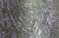 Worston fibreglass roof work